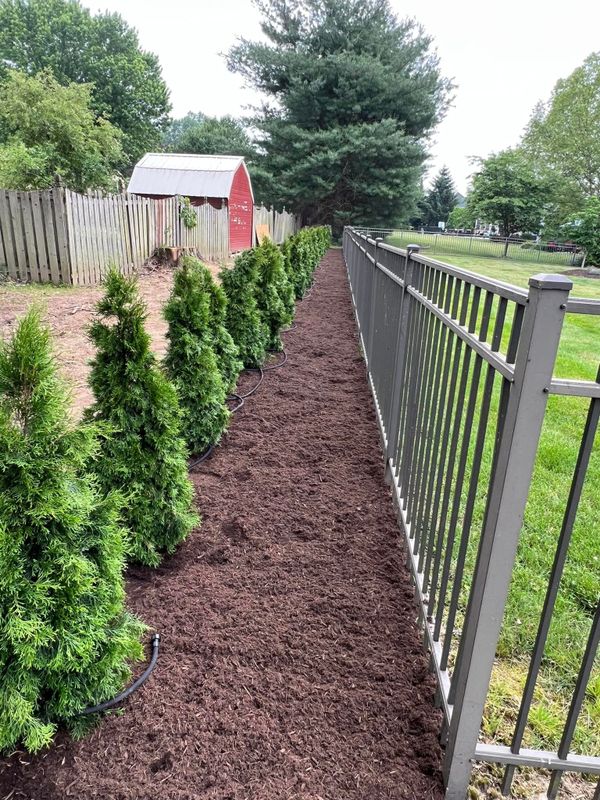Landscaping