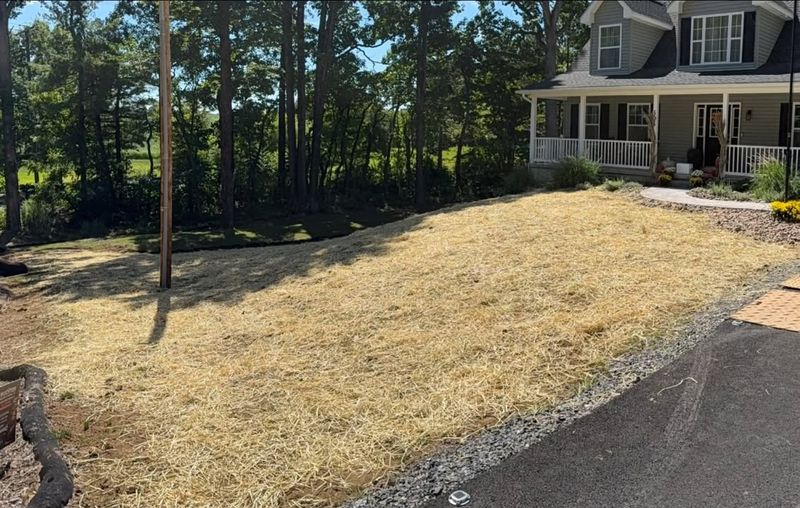 Asphalt Driveway Installation