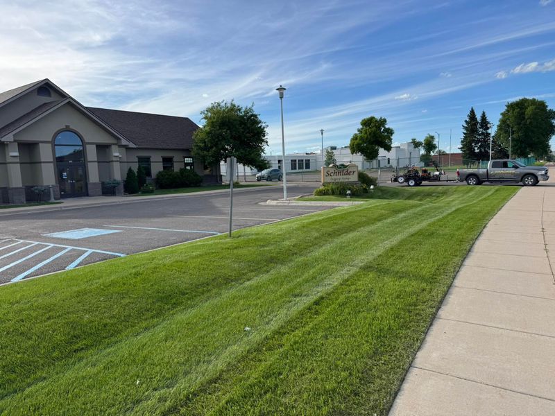 Lawn Maintenance