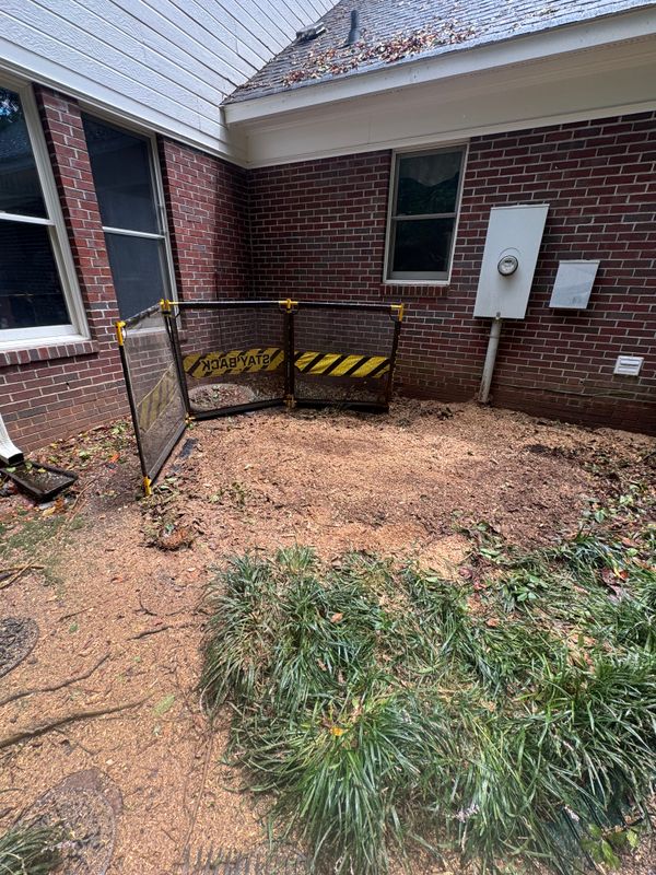 Stump Removal