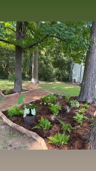 Landscape Design