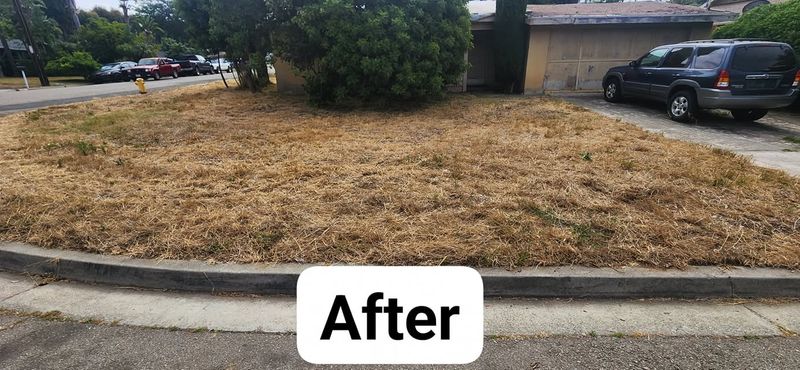 Mowing