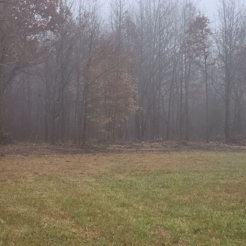 Land Clearing