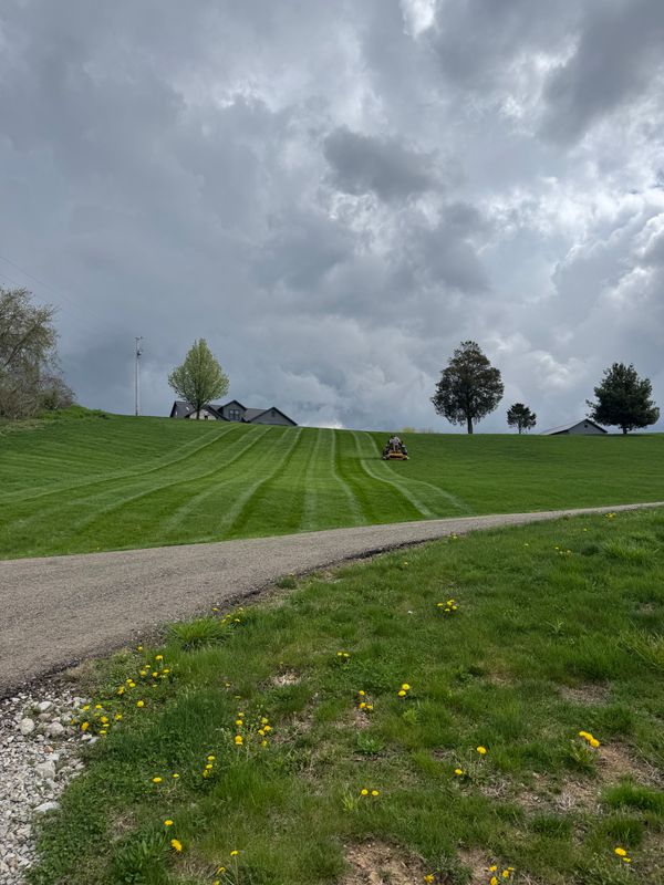 Mowing gallery