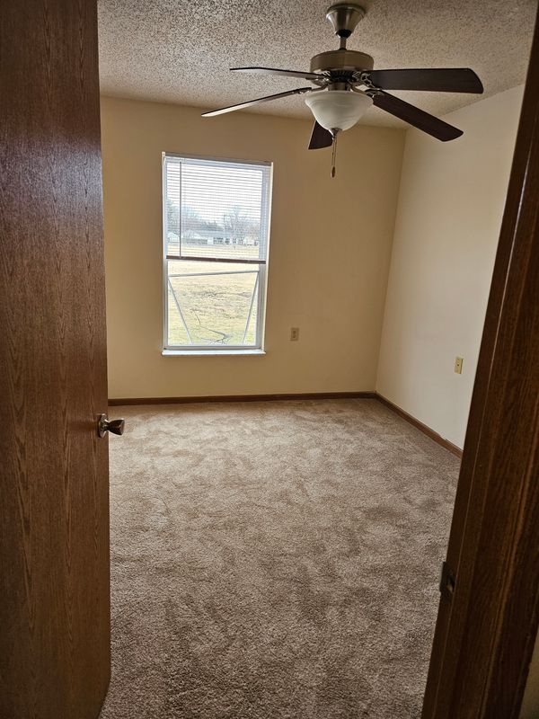Carpet Cleaning