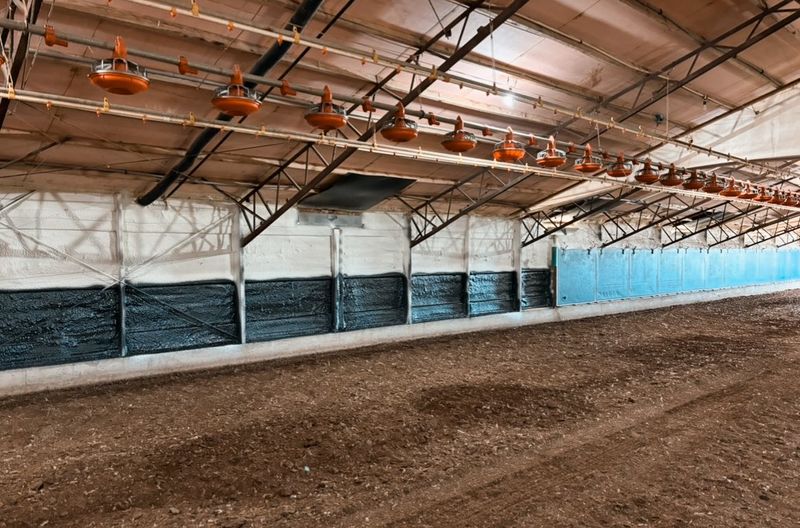 Insulation