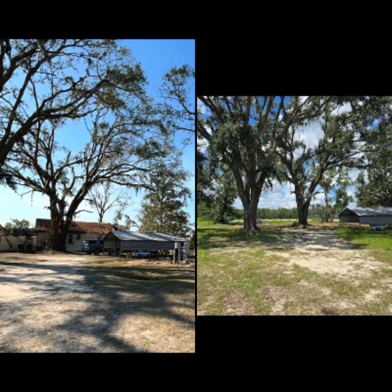 Land Clearing