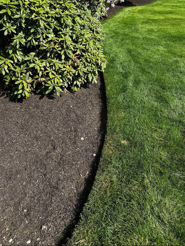 Landscape Design