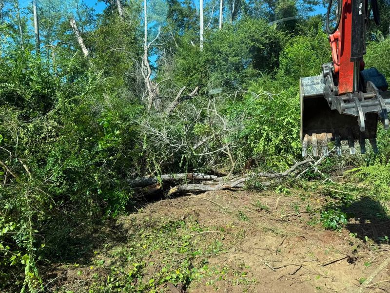 Land Clearing