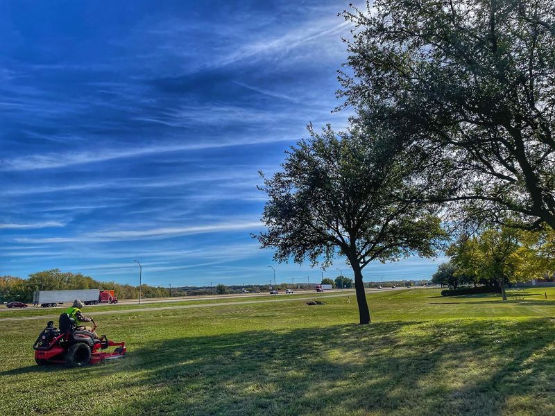 Lawn Care