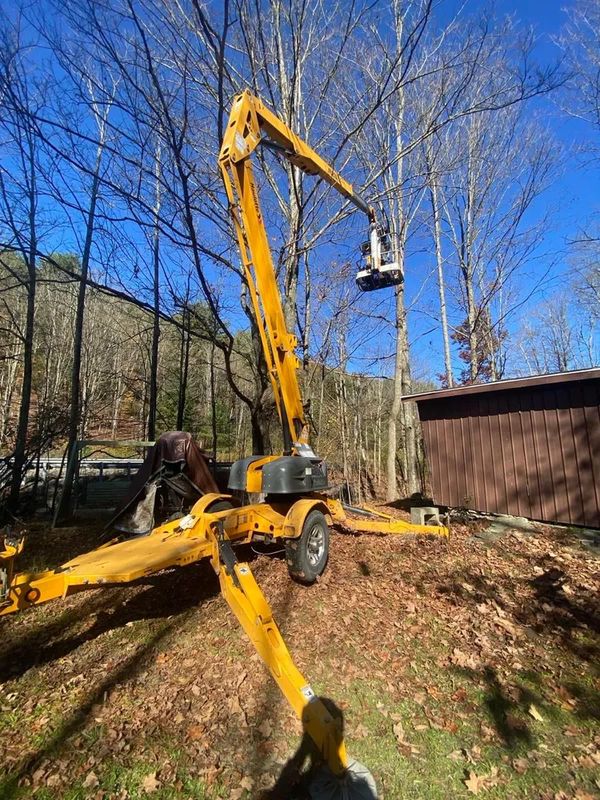 Tree Removal