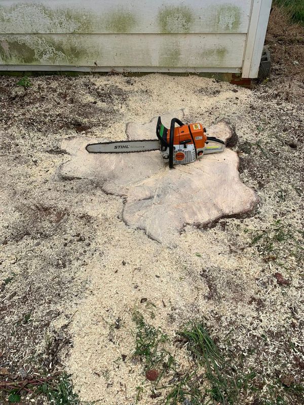 Stump Removal