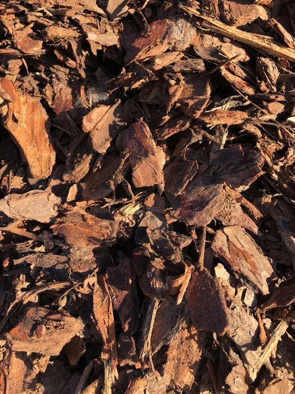 mulch