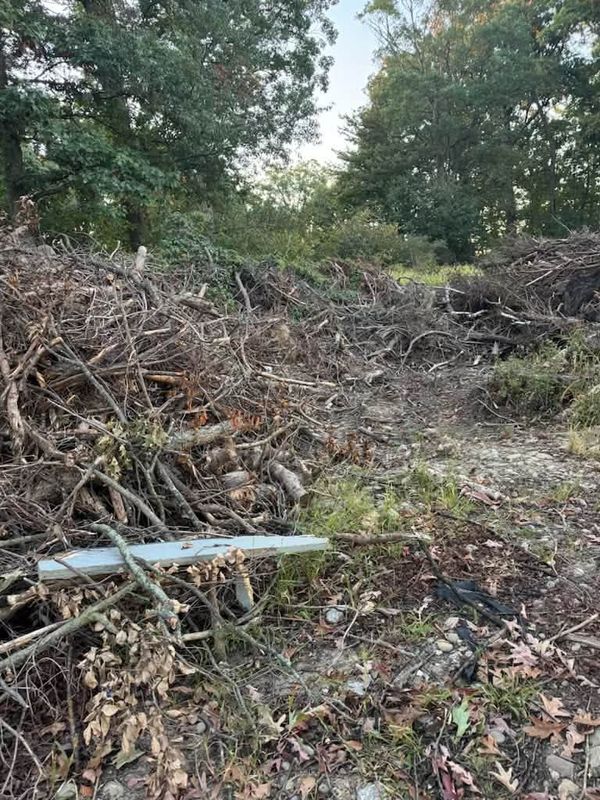 Land Clearing