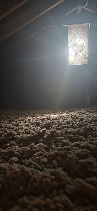 Eco-Friendly Insulation Options