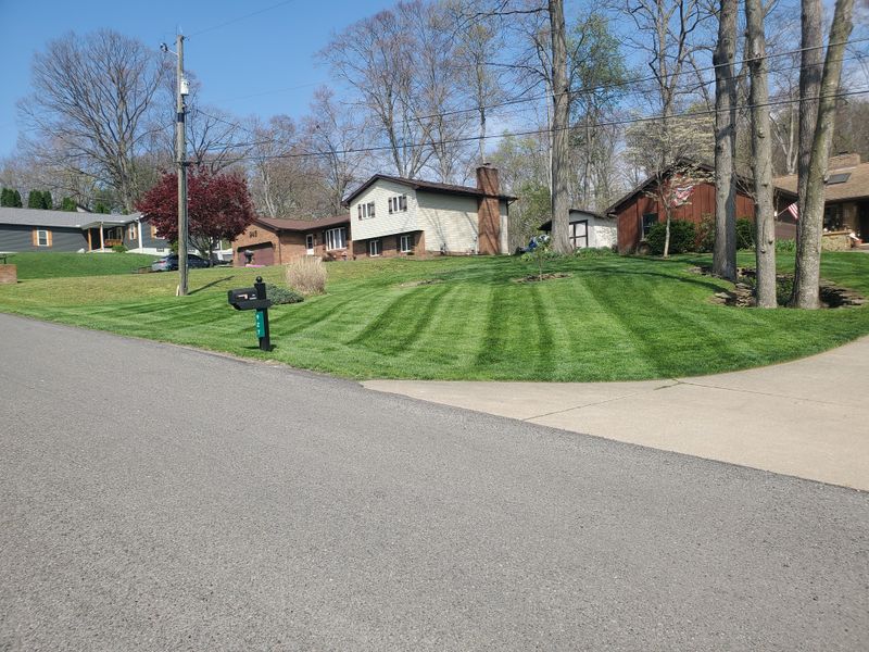 Lawn Mowing