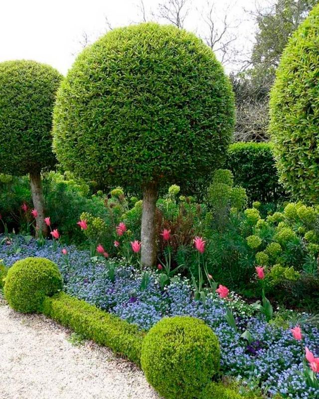 Landscape Design