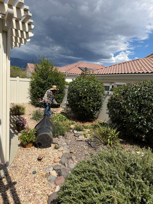 Shrub Trimming