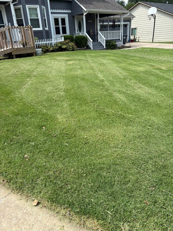 Lawn Maintenance