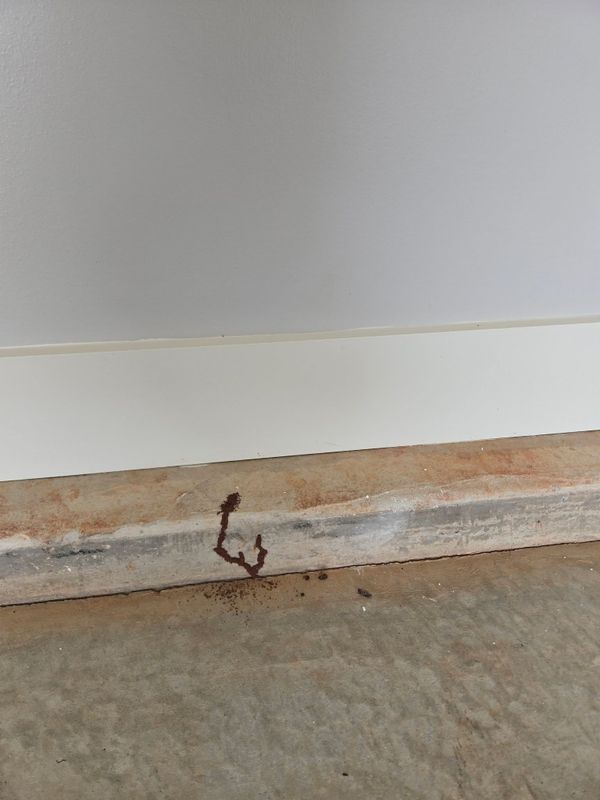 Get your home protected today with Termite prevention, this is a new built home and termites have already started. Bug blasterz llc has it covered for all your termite and pest control needs
