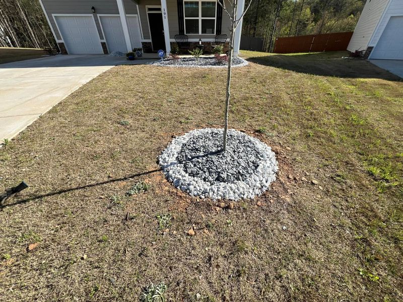 Rock Installation