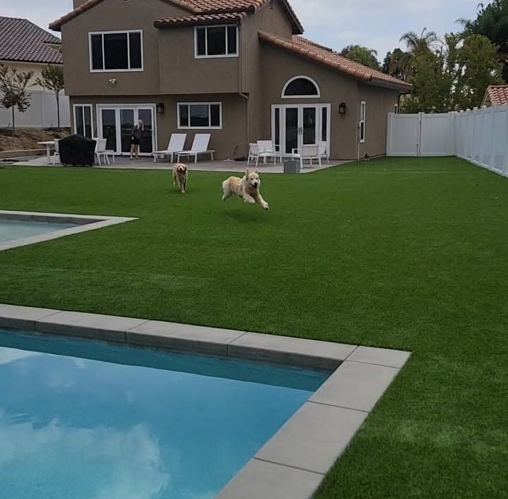 Turf Installation