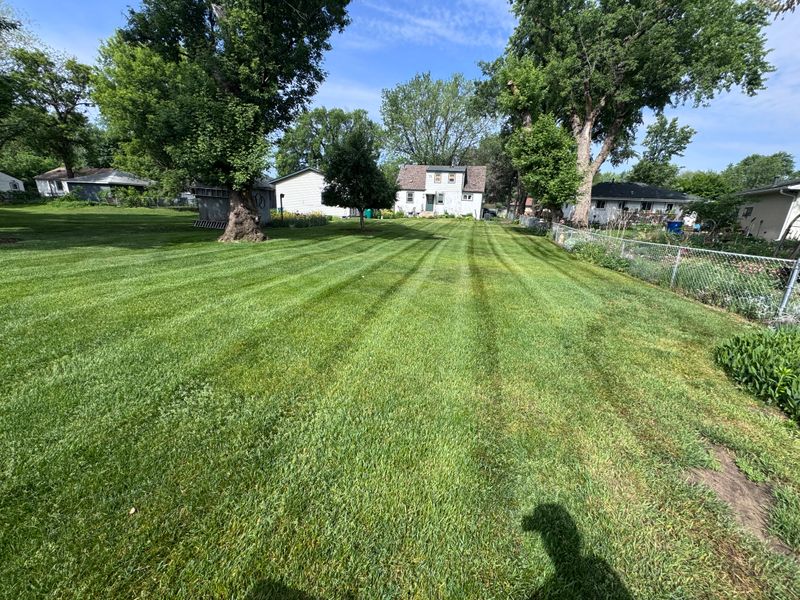 Lawn Maintenance