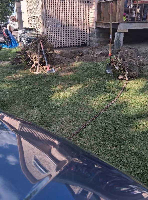 Landscaping