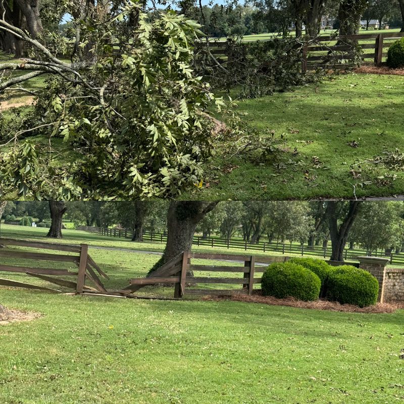 Fencing