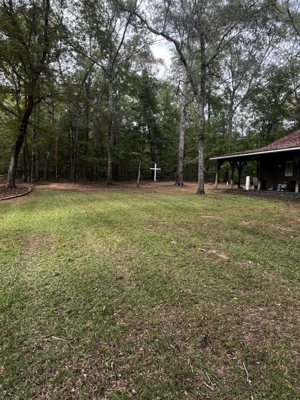 Lawn Maintenance