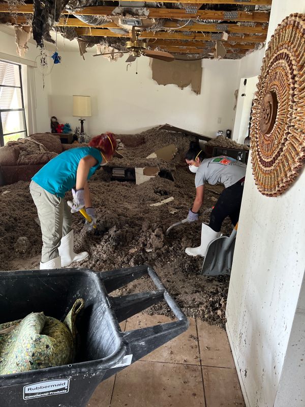 Mold Remediation