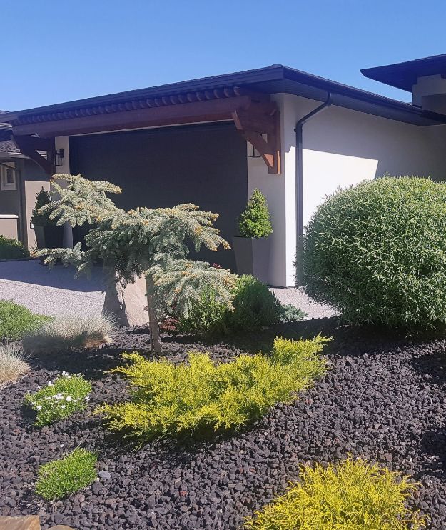 Tree & Shrub Care