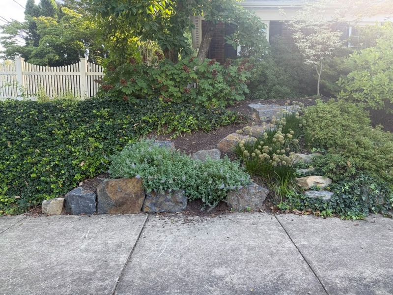Landscape Design