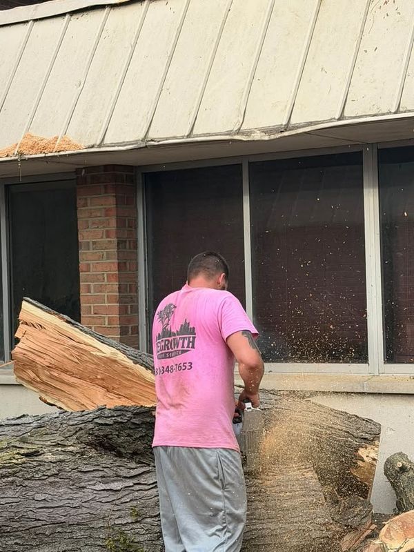 Tree Removal