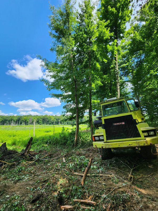 Land Clearing