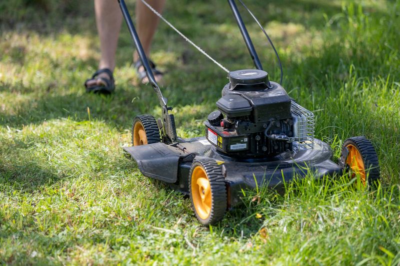 Lawn Maintenance