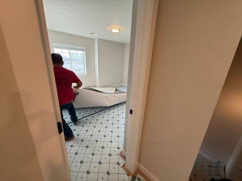 Carpet Installation and Repair
