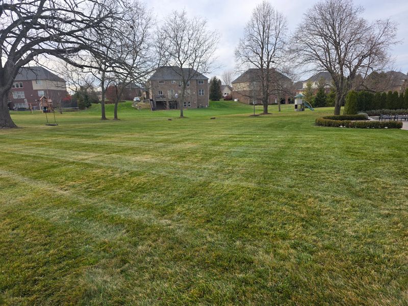Spring/Fall Cleanup