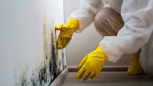 Mold Remediation
