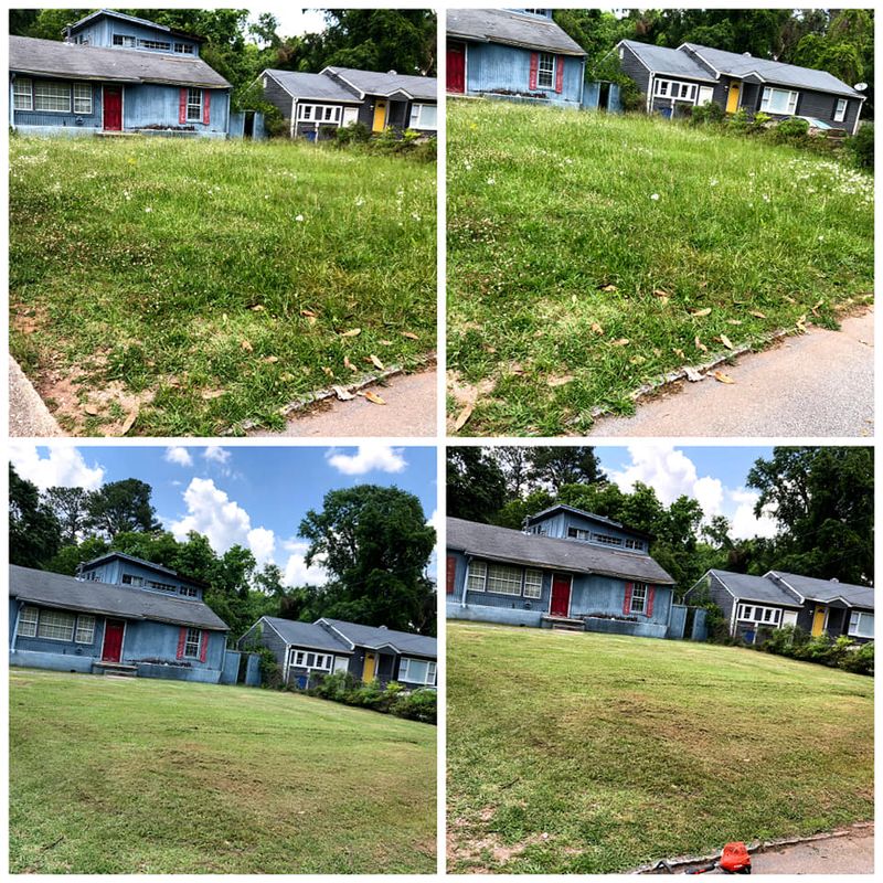 Plant & Shrub Installations