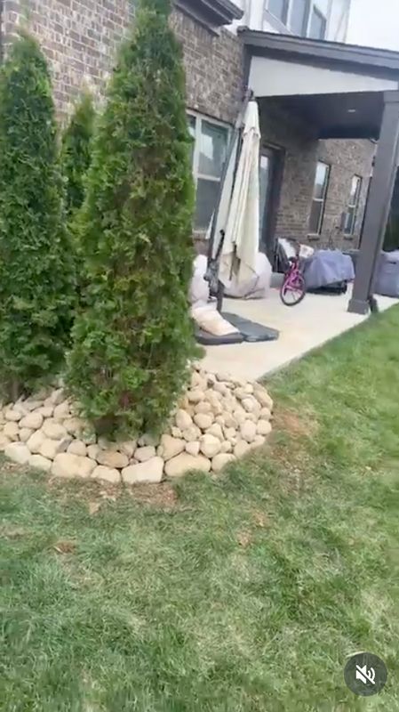 Shrub Trimming