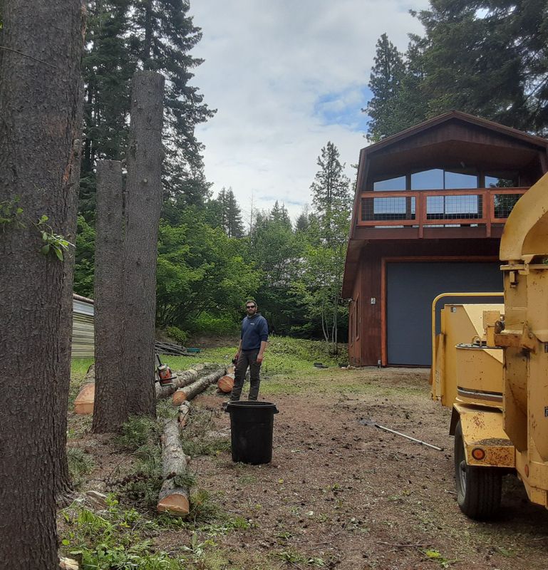 Tree Trimming and Removal
