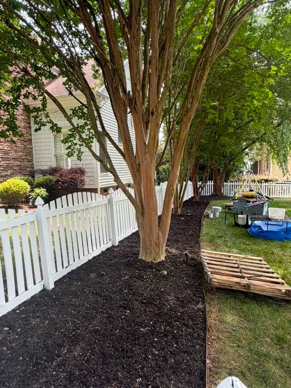 Remodeling Services