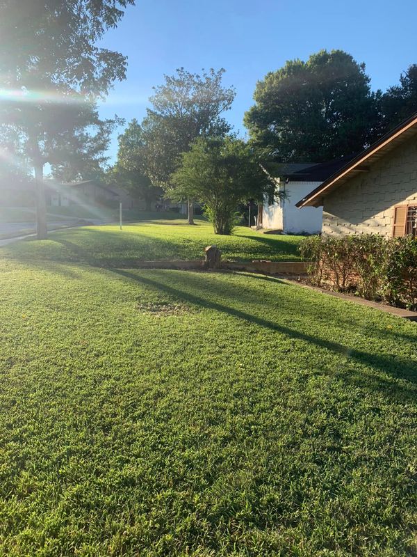 Mowing
