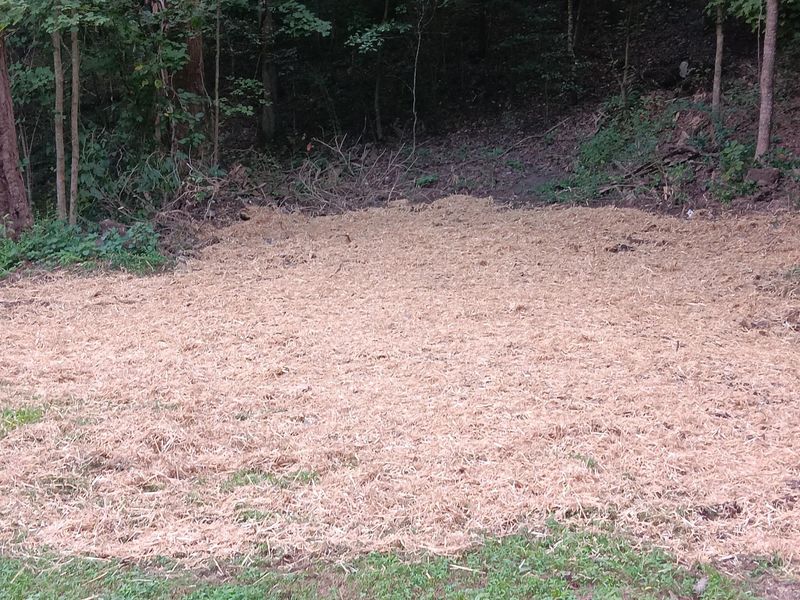 Dirt work and French drains