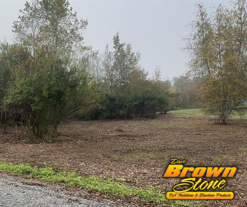 Land Clearing