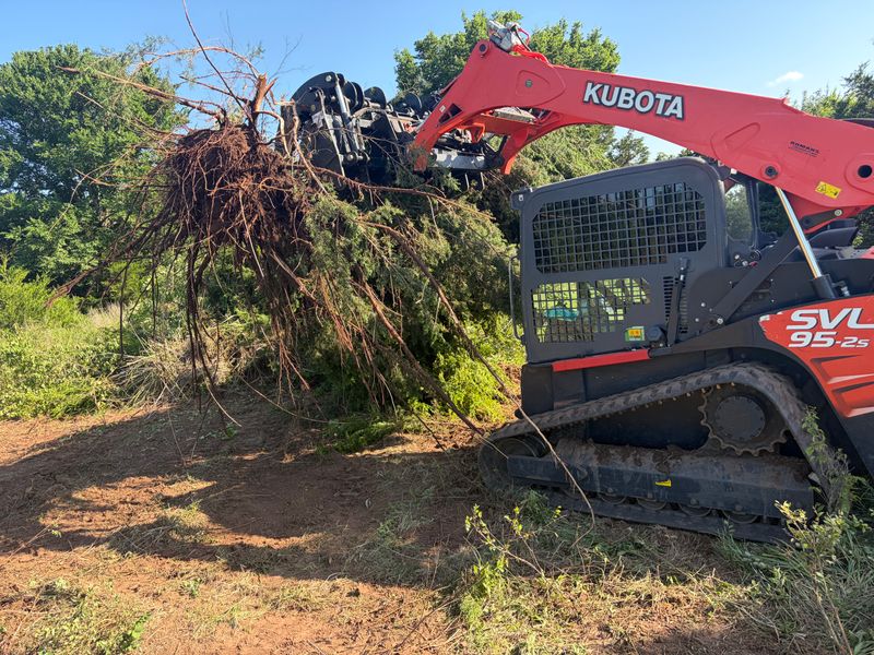 Tree Removal