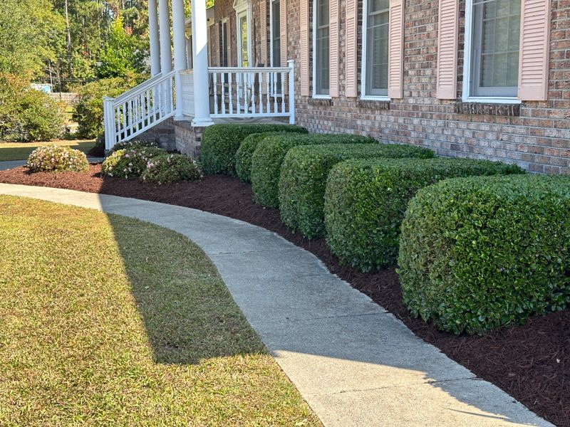 Mulch Installation