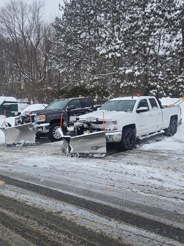 Snow Removal 