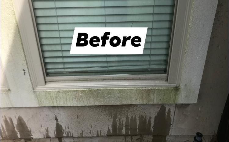Exterior Cleaning